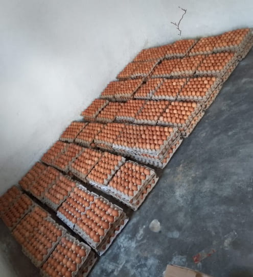 Visita à Cooperativa Mothe Malupale